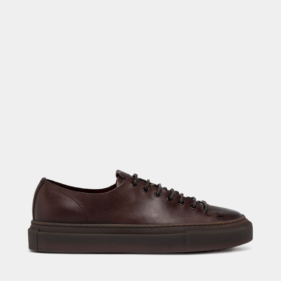 BUTTERO: TANINO SNEAKERS IN EBONY LEATHER