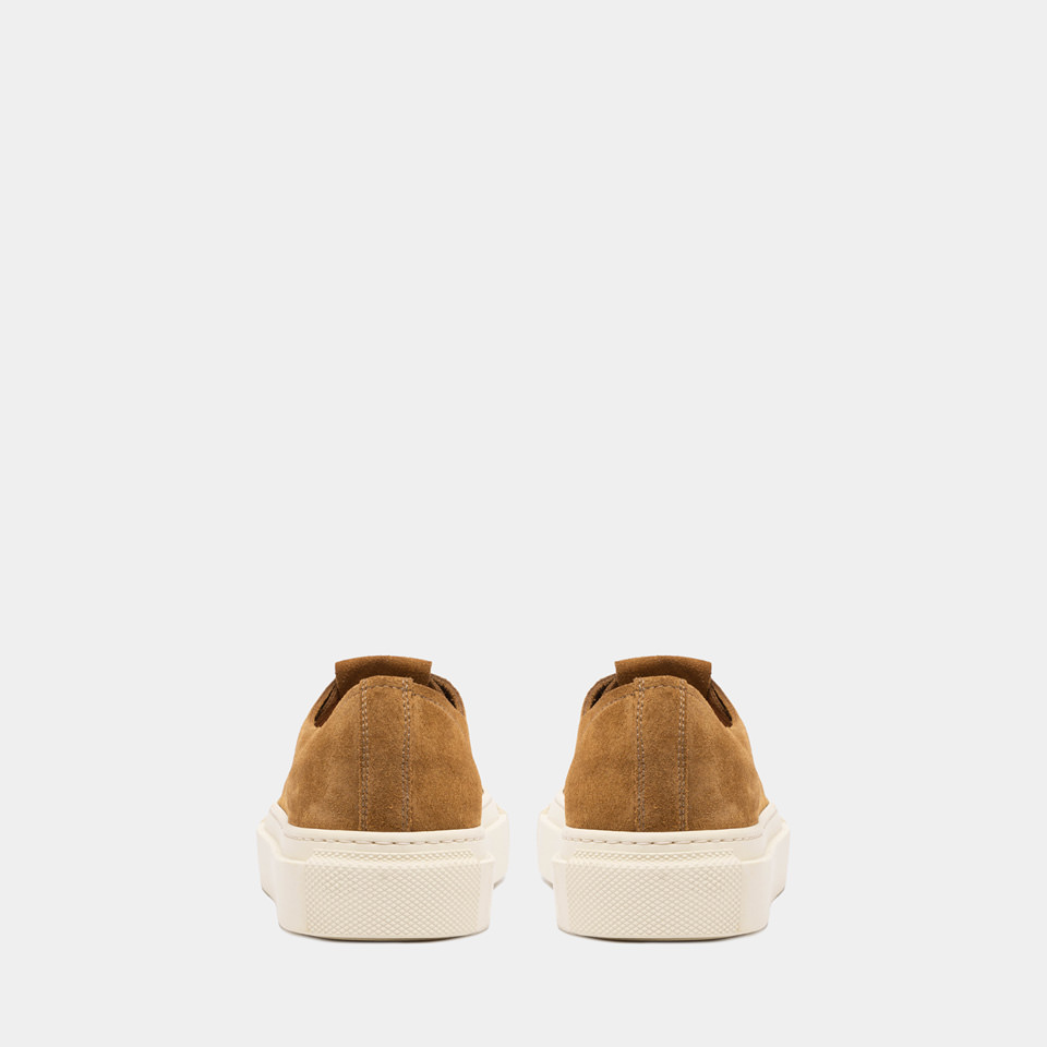BUTTERO: TANINO SNEAKERS IN CURRY SUEDE